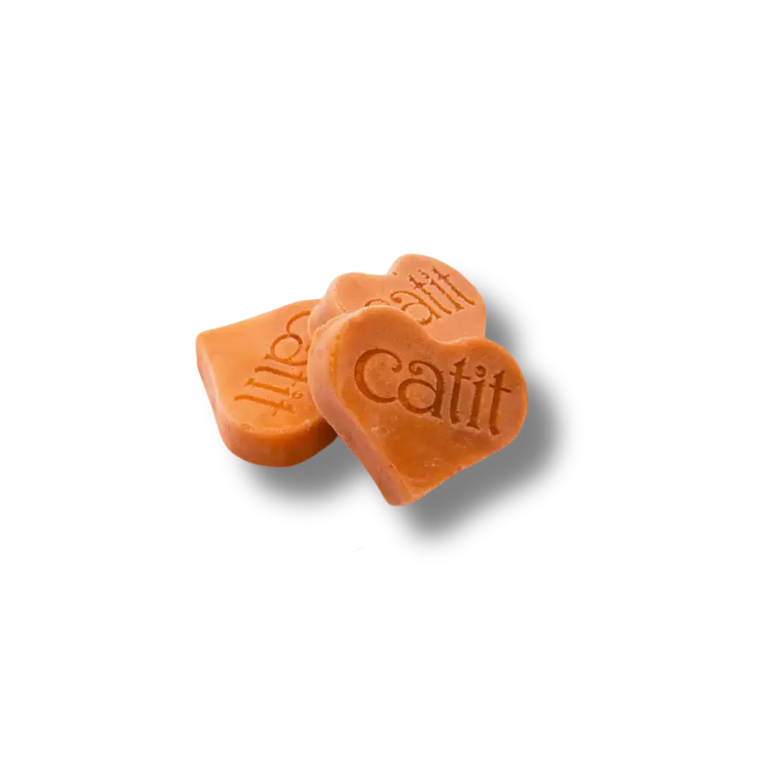 Catit Molde para helados 4