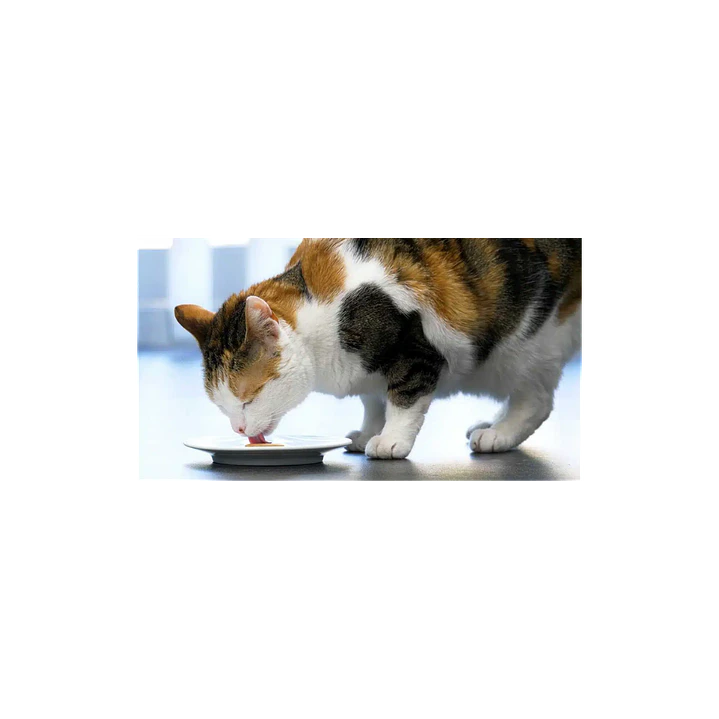 Catit Molde para helados 5