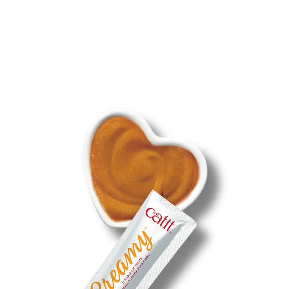 Catit creamy plato de cerámica corazón  3