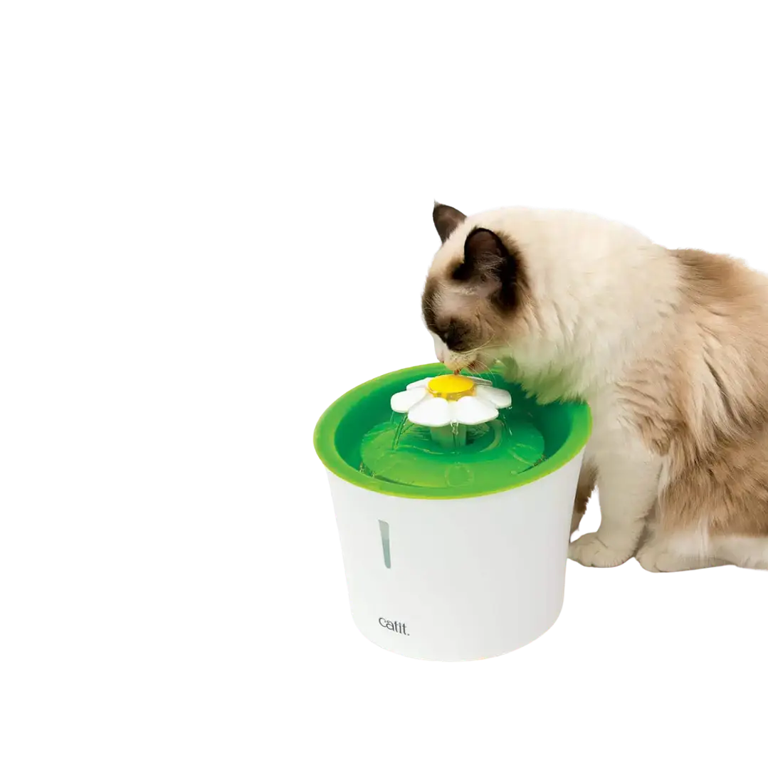 Fuente bebedera 3L  4