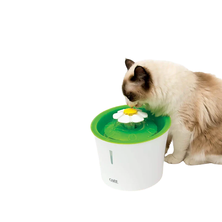 Fuente bebedera 3L  4