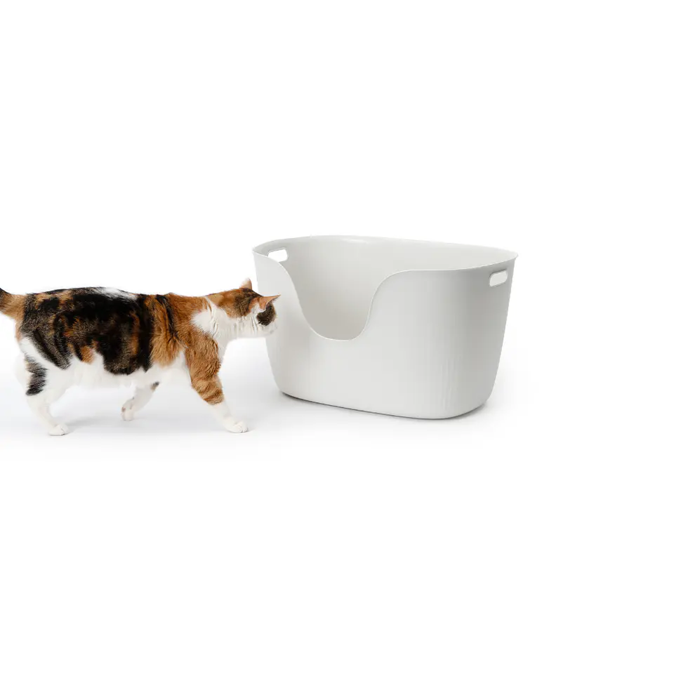 Catit LOO Arenero XL ecológico + Pala 4