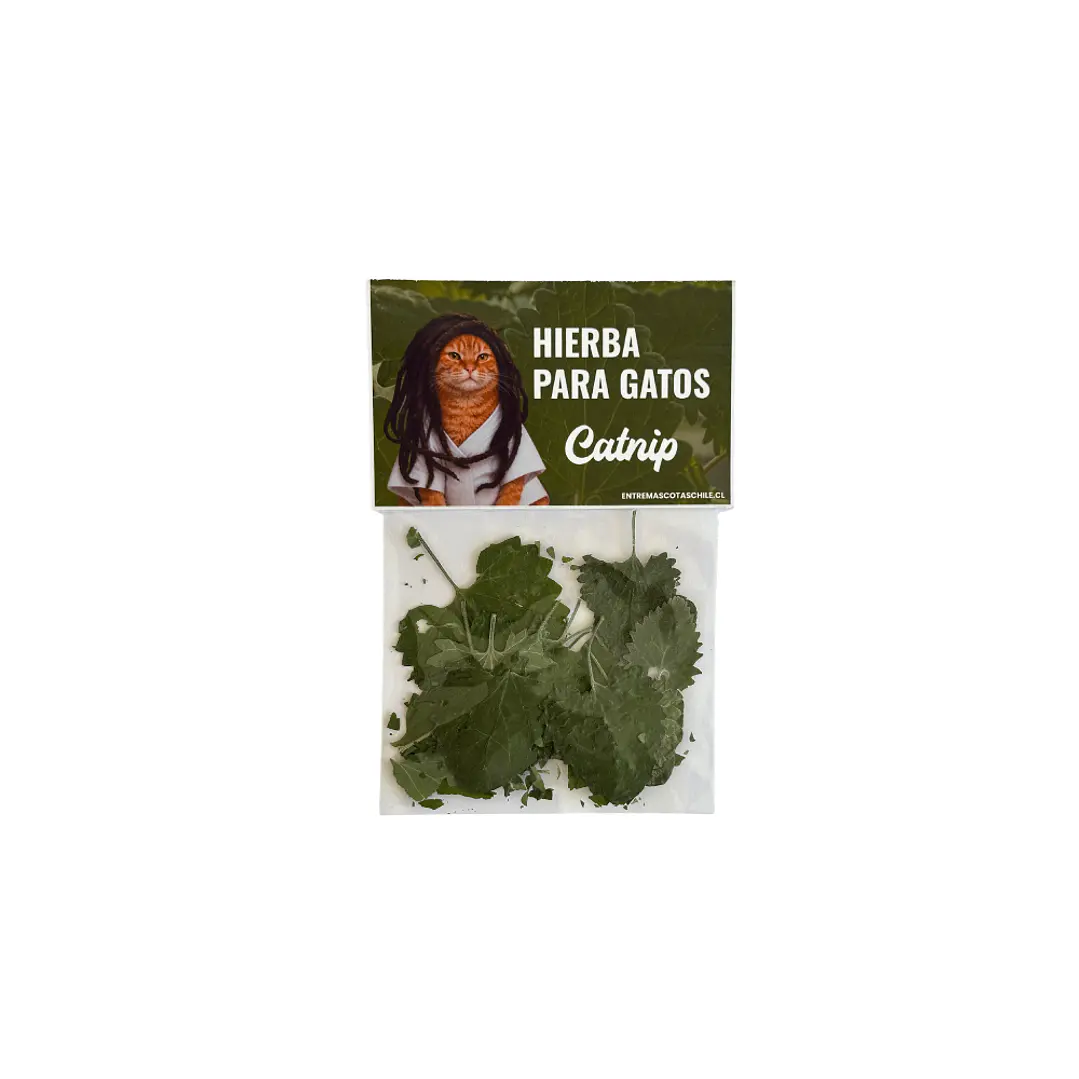 Hojas de Hierba Gatera/Catnip 1