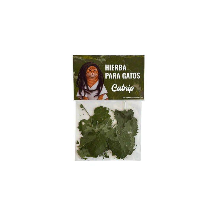 Hojas de Hierba Gatera/Catnip 1