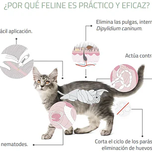Feline Labyes Full  0.5 a 2 kg