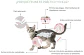 Feline Labyes Full  0.5 a 2 kg - Miniatura 2