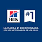  Hill's Urgent Care a/d sabor pollo  156gr - Miniatura 5