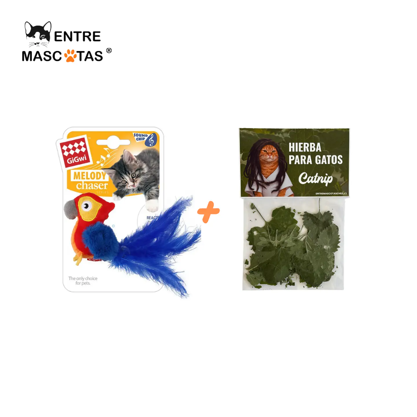 Pack Loro Gigwi Melody chaser + Hojas de Catnip 1