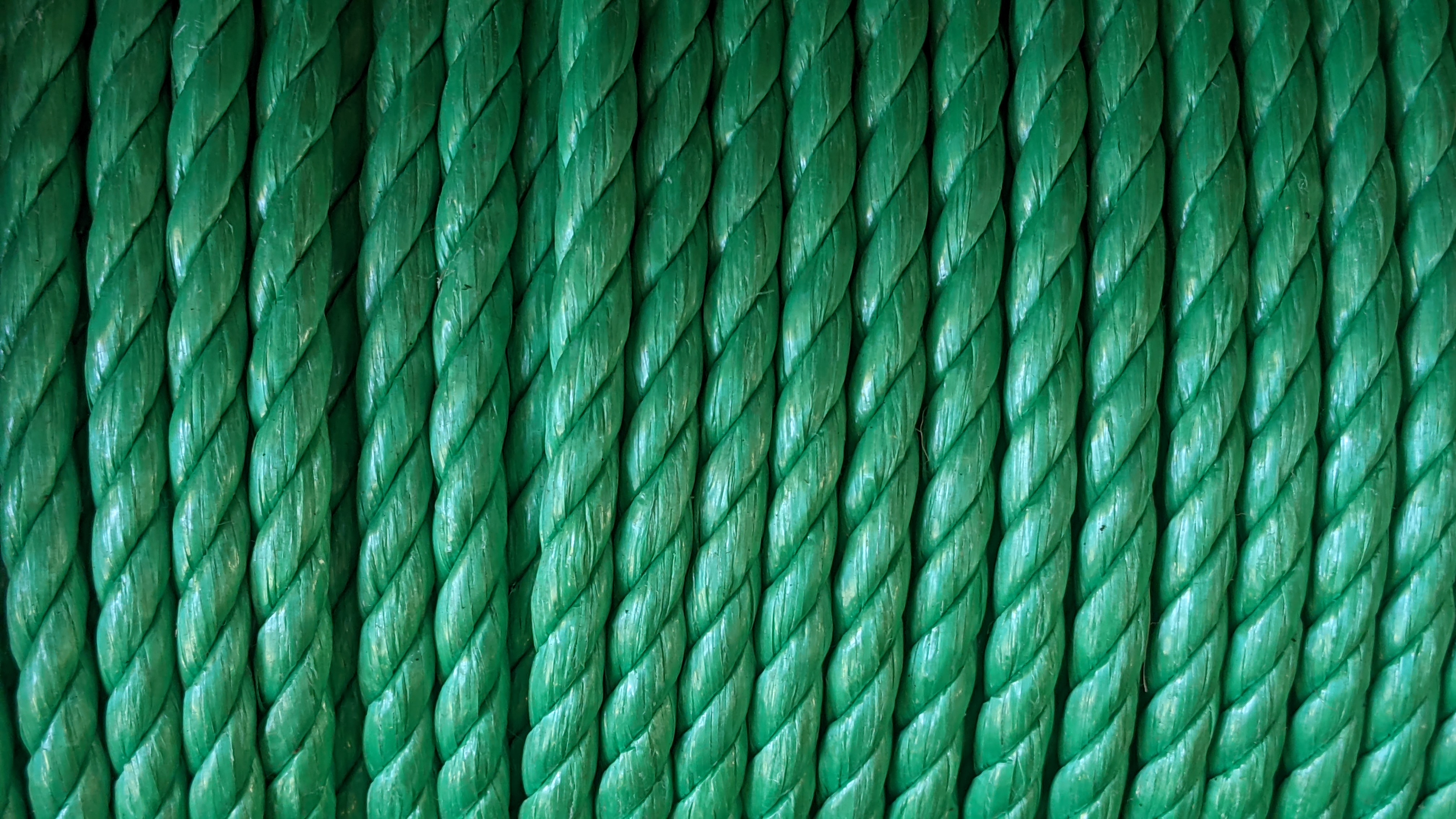 Cordel plastico verde de 14 mm vendido por metro 1