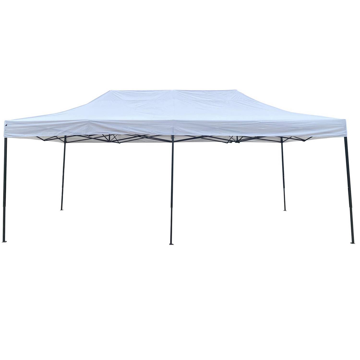 Toldo plegable de Terraza 3x6 m  2