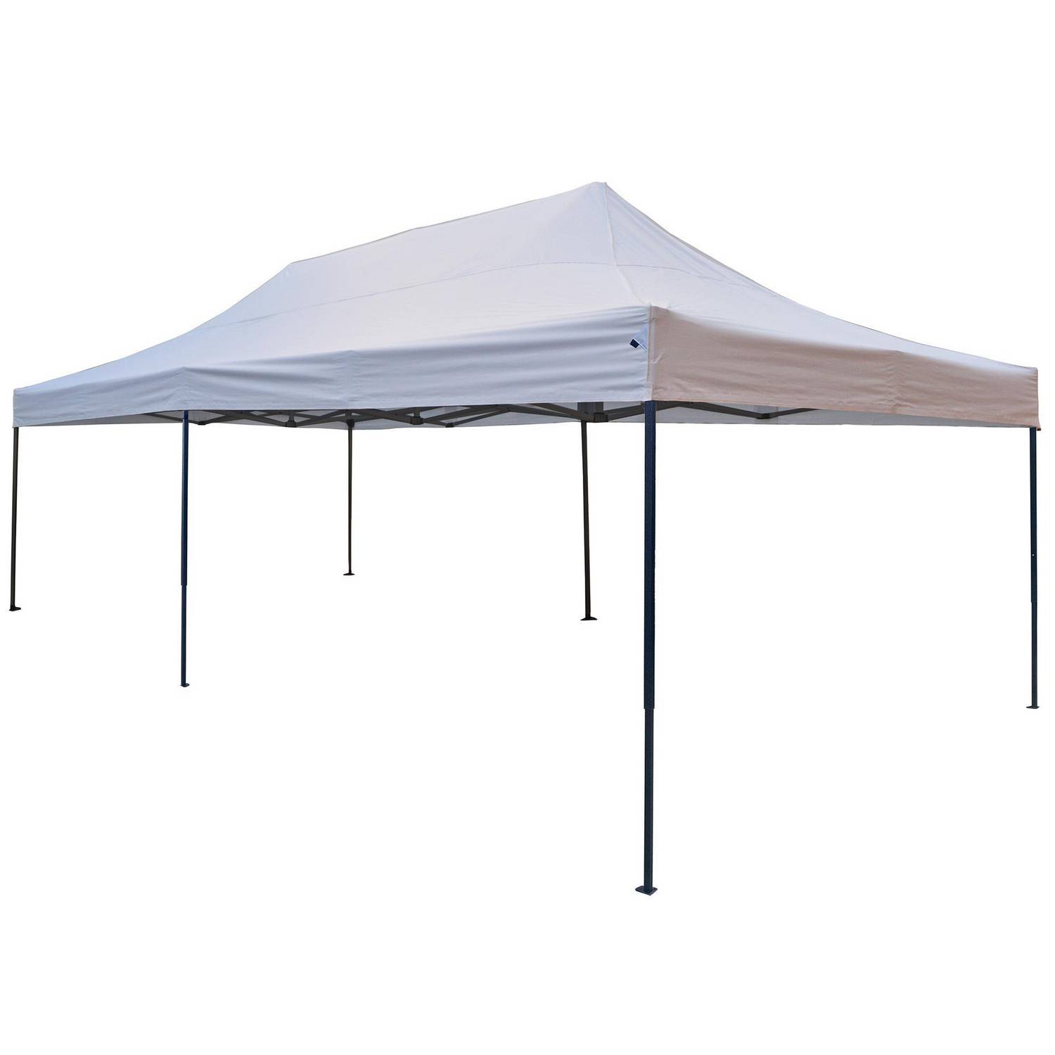 Toldo plegable de Terraza 3x6 m  1
