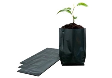 Bolsa Negra para Cultivos en Vivero 15X15X50 1