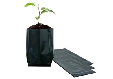 Bolsa Negra para Cultivos en Vivero 20X20X50 1