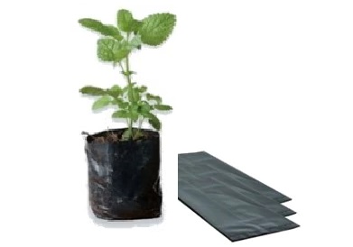 Bolsa Negra para Cultivos en Vivero BN20X20BD 1