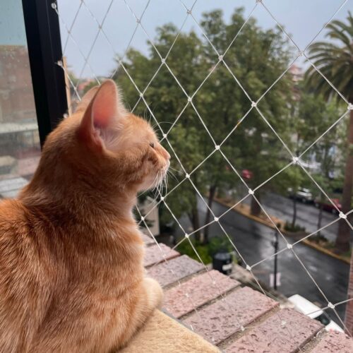 Rollo de malla de segurirdad 200 metros lineal 2mt de ancho 2