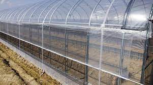 Rollo Polietileno Transparente 3mt x 100 mts  2