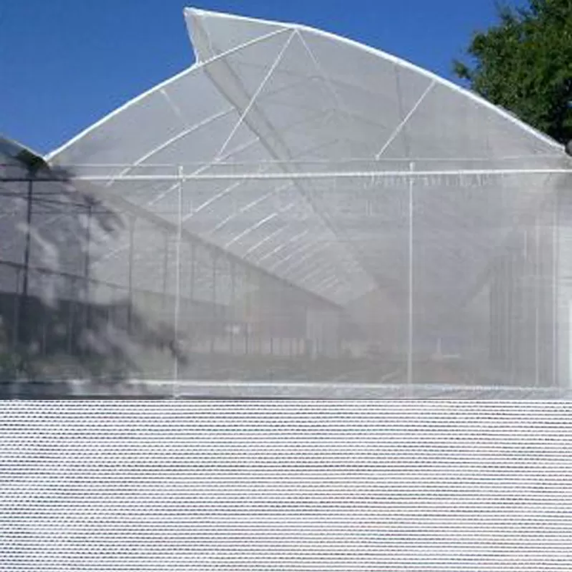 Malla Mosquitera / Anti Áfido Blanca Transparente – 2,00 m x 1,00 m 4