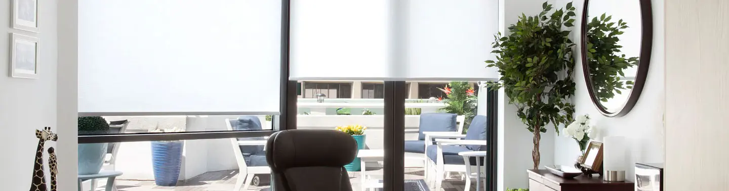Rollers Shade Screen o Blackout