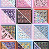 Pack Bandana INFANTIL 1 FRANELA FANTASIA