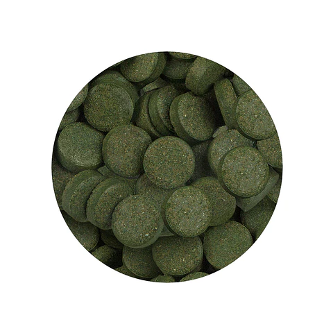 Sera Spirulina Tabs - 24 Tabs (16 g)