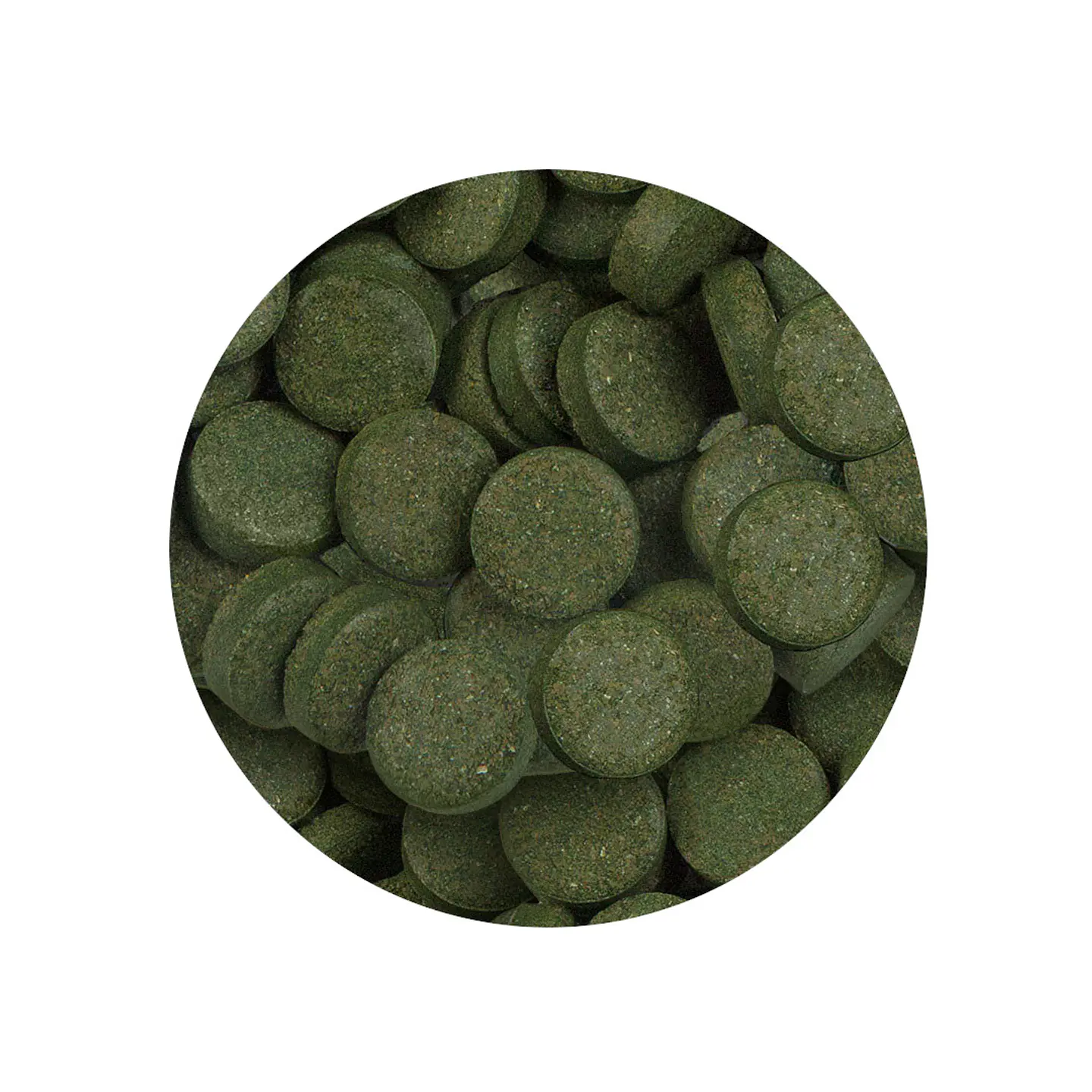 Sera Spirulina Tabs - 24 Tabs (16 g) 2