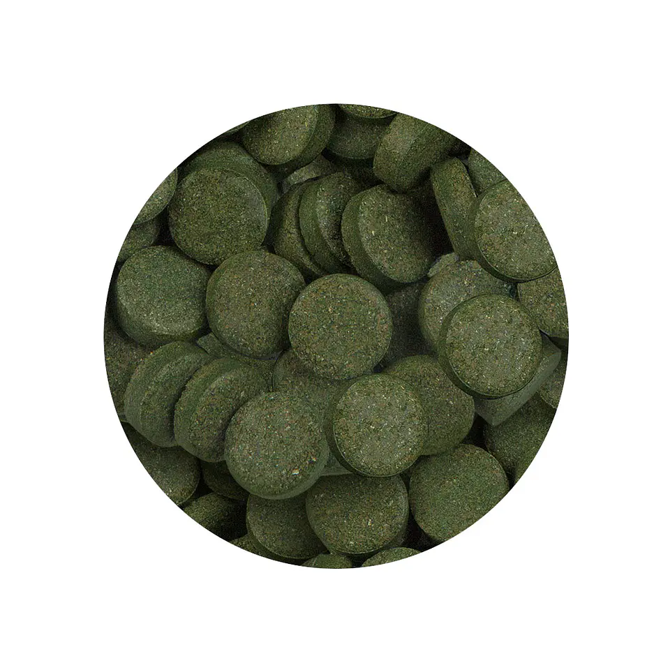 Sera Spirulina Tabs - 24 Tabs (16 g) 2