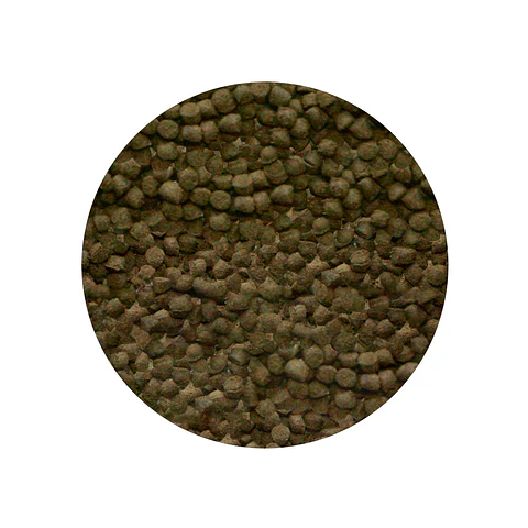 Sera Shrimp Granules 100ml