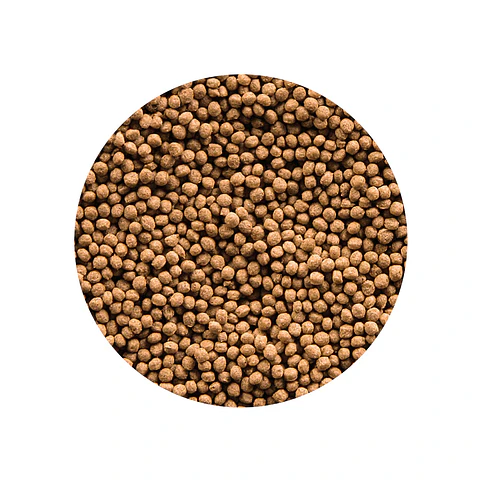 Sera Goldfish Granules 50ml
