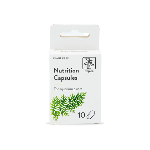 Tropica Nutrition 10 Cápsulas