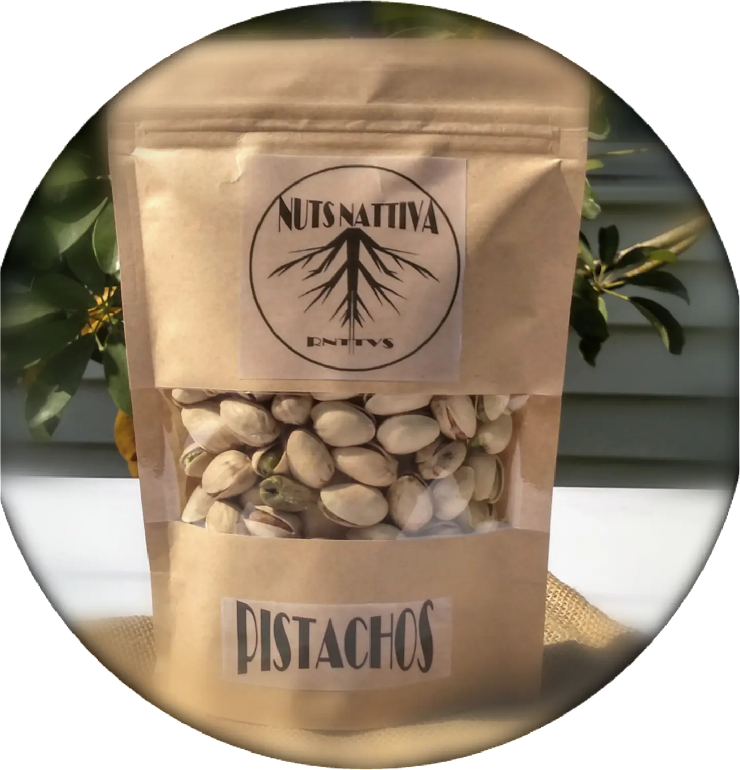 Pistachos con cáscara sin sal 100 Gramos 2