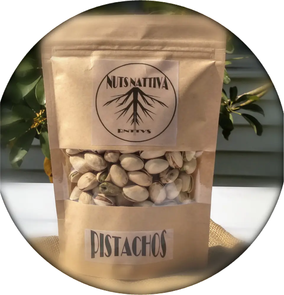Pistachos con cáscara sin sal 100 Gramos 2