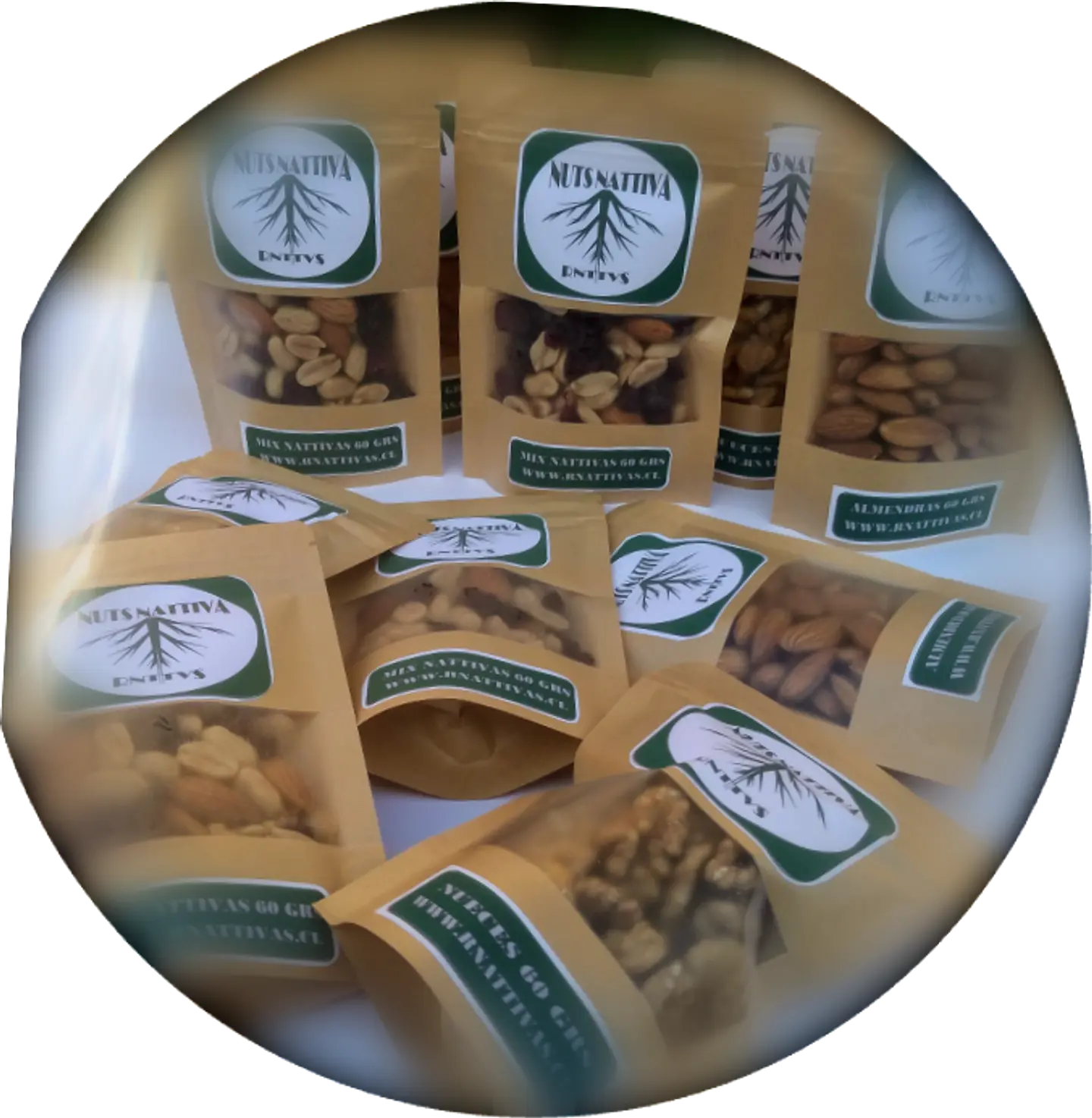 Pack de 10  Snack de Frutos secos 60 gramos  1