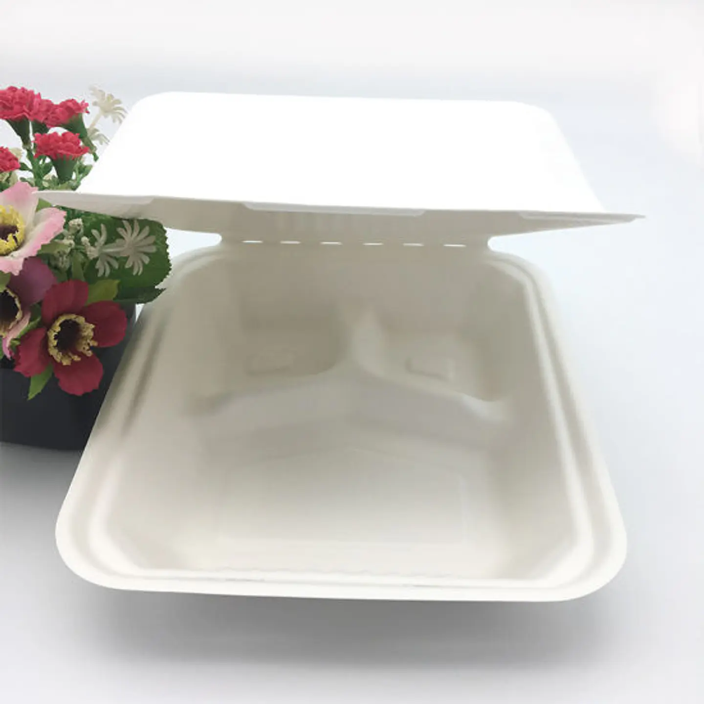 Pack de 25 Envases Sandwiches / Hamburguesa Compostables 2