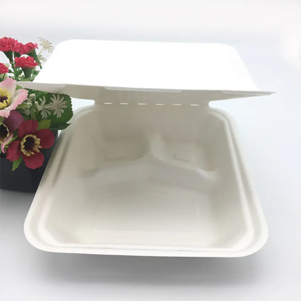 Pack de 25 Envases Sandwiches / Hamburguesa Compostables 2