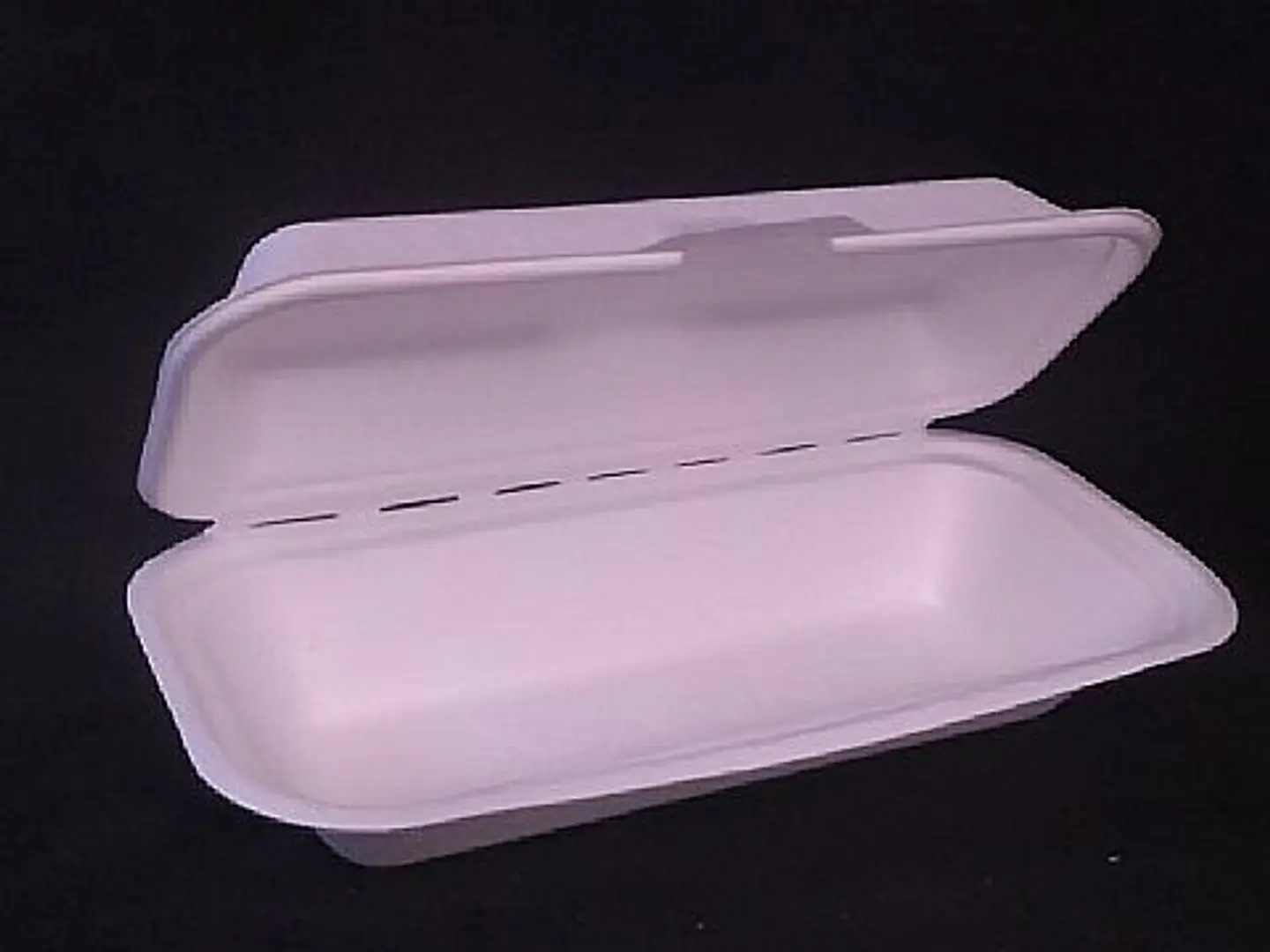 Pack de 25 Envases Hot Dog compostable 2