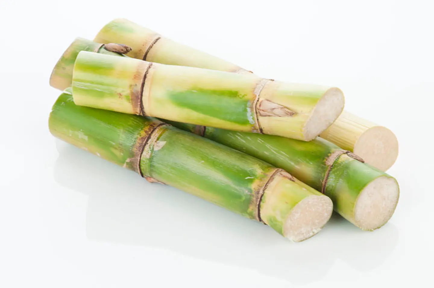 Pack de 25 Envases Hot Dog compostable 3