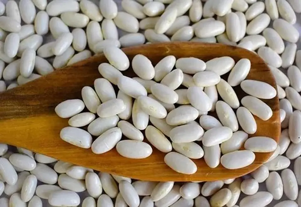 Porotos blancos 1 KG 1