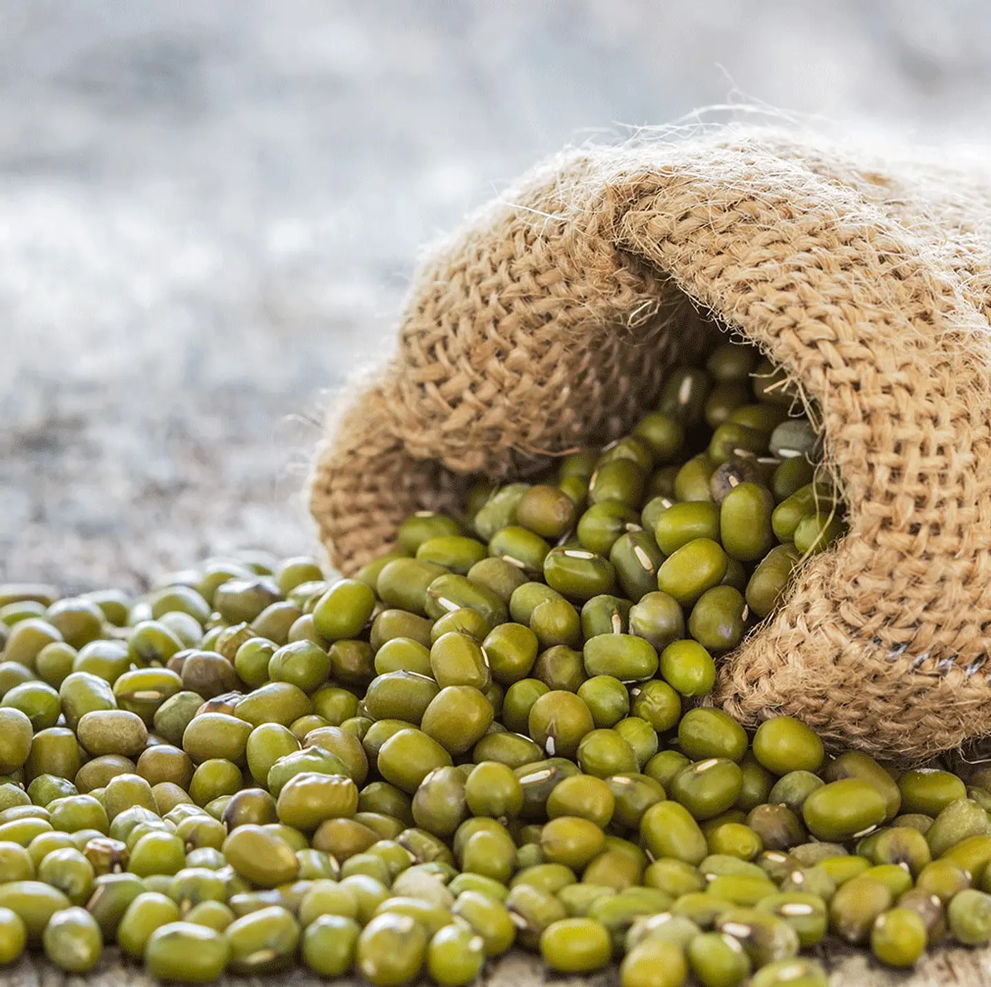 Porotos mung 500 Gr 1