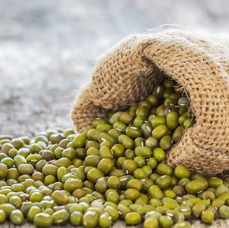 Porotos mung 500 Gr 1