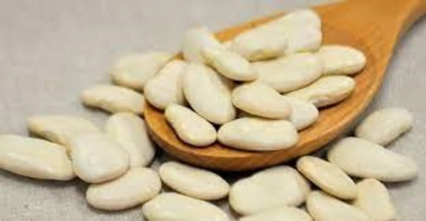 Porotos pallar 500 Gr 1
