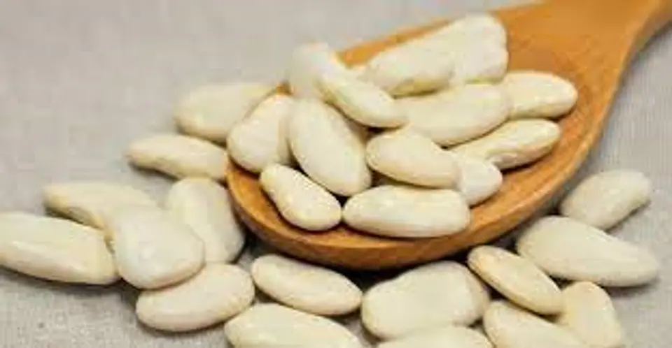 Porotos pallar 500 Gr 1
