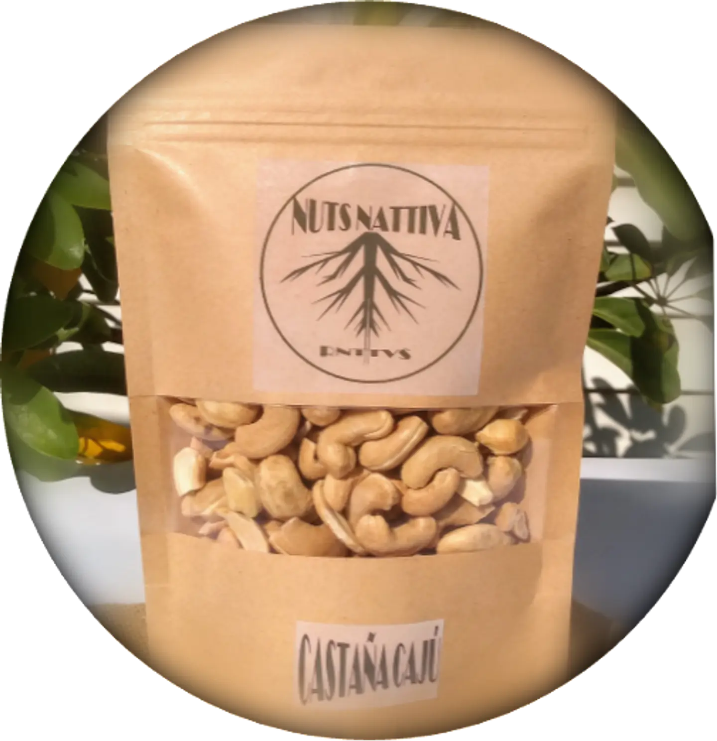 Castaña Cajú 200 Gramos 2