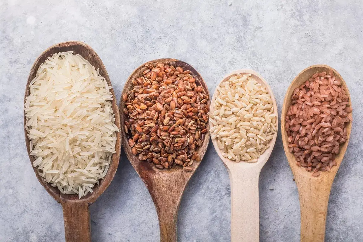 ARROZ 