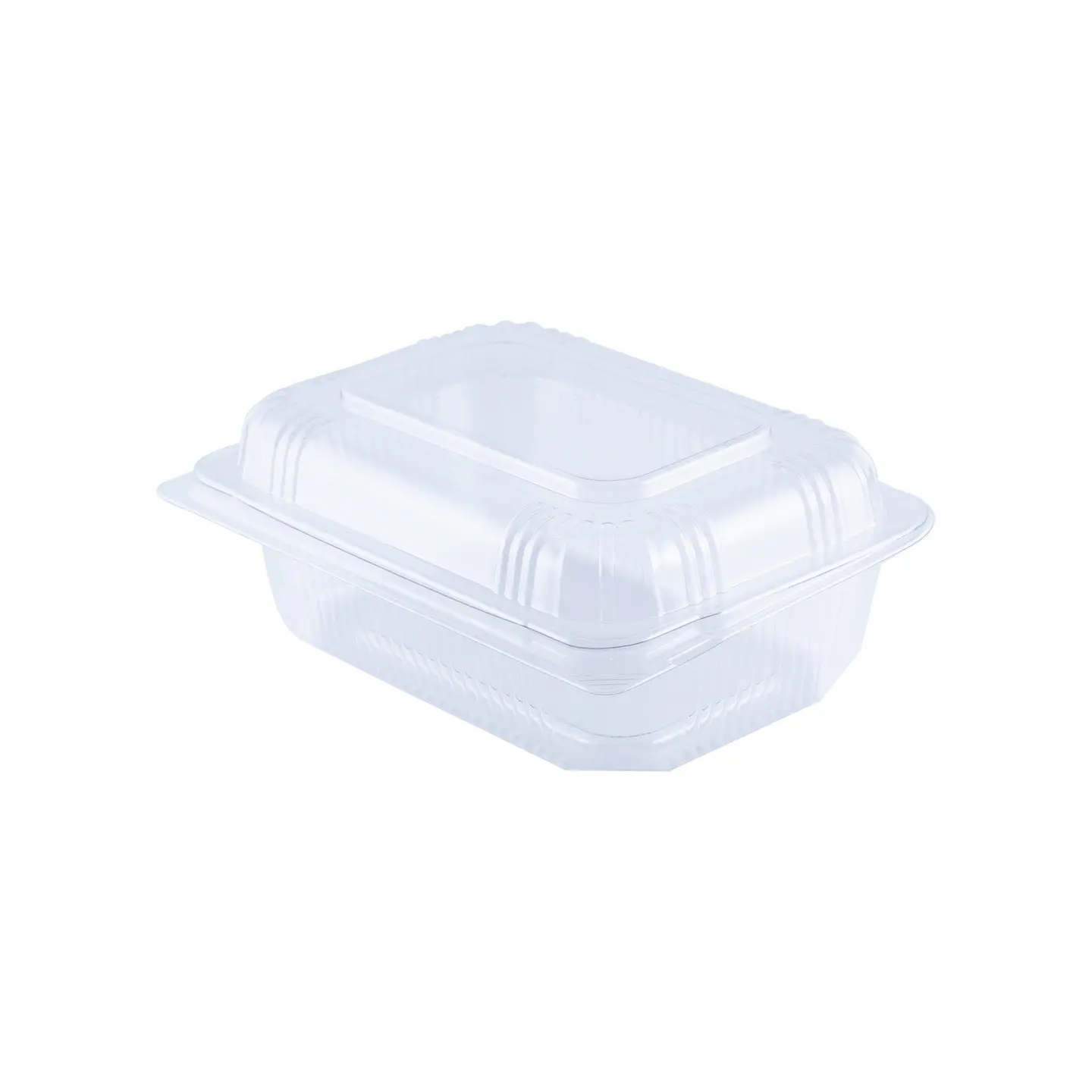 Estuche 242 PET multiuso  1