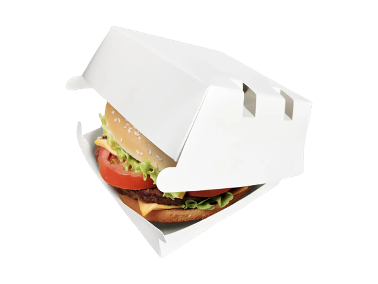 Envase cartulina Hamburguesero 1