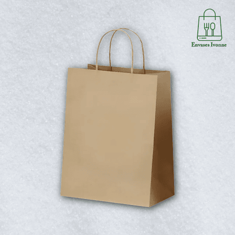 Bolsa papel asas 22x29x10  1