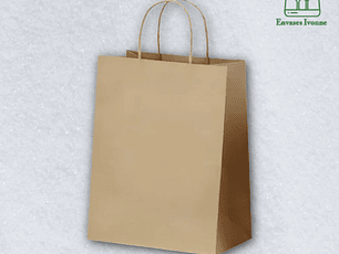 Bolsa papel asas 22x29x10 