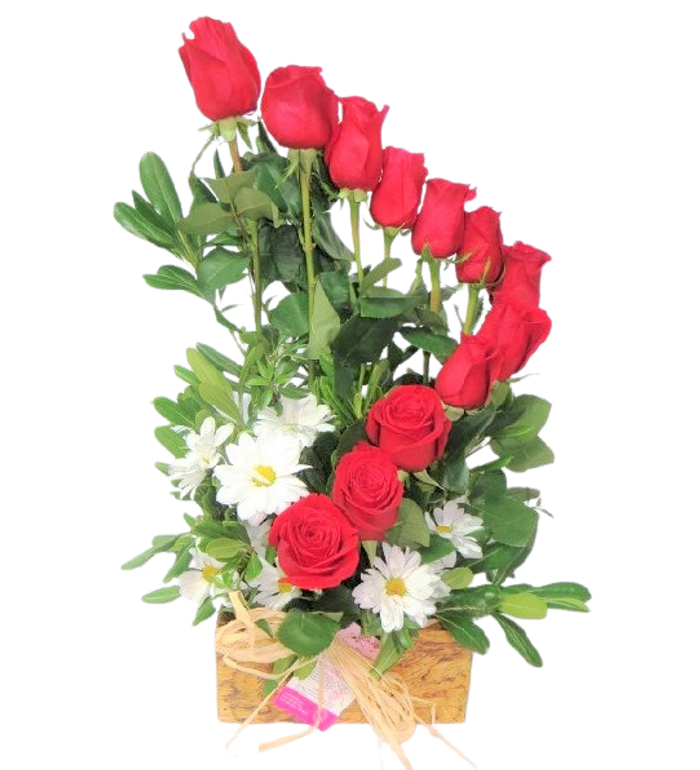 Caracola de 12 Rosas Rojas en Base Madera | Envía Amor Radiante