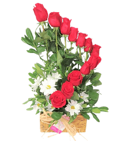 Caracola de 12 Rosas Rojas en Base Madera | Envía Amor Radiante