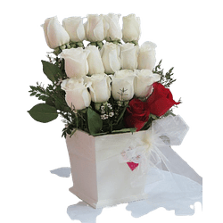 Composición de 17 Rosas Base Blanca | Expresa Amor Eterno